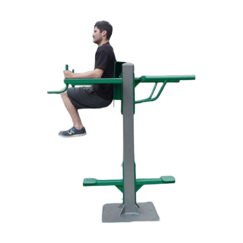 SuperMAX Individual Station ( Vertical Knee Raise and Triceps Dip)