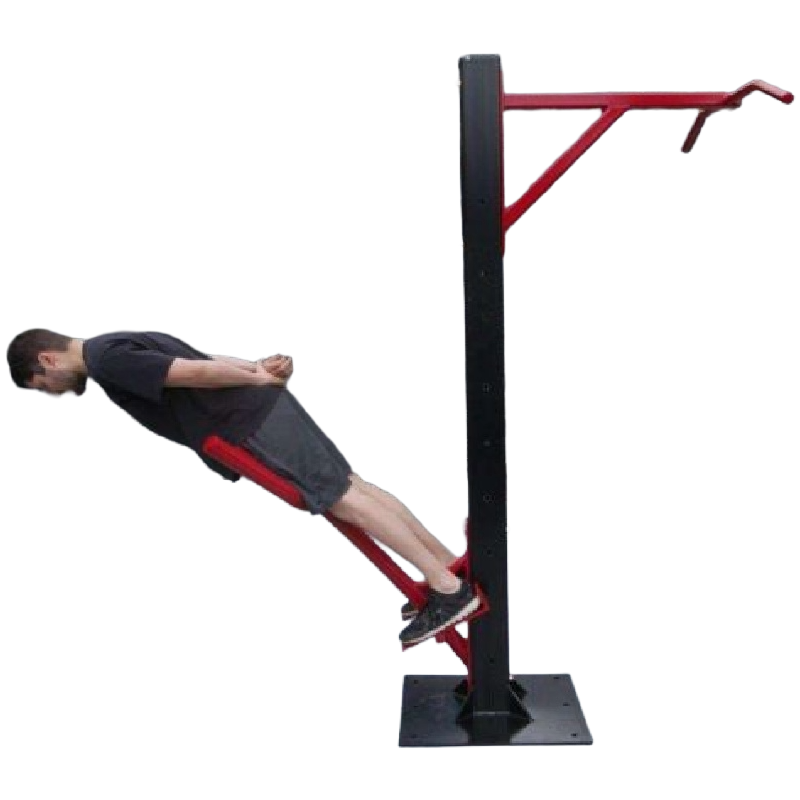 SuperMAX Individual Station (Back Extension and Pull-Up)