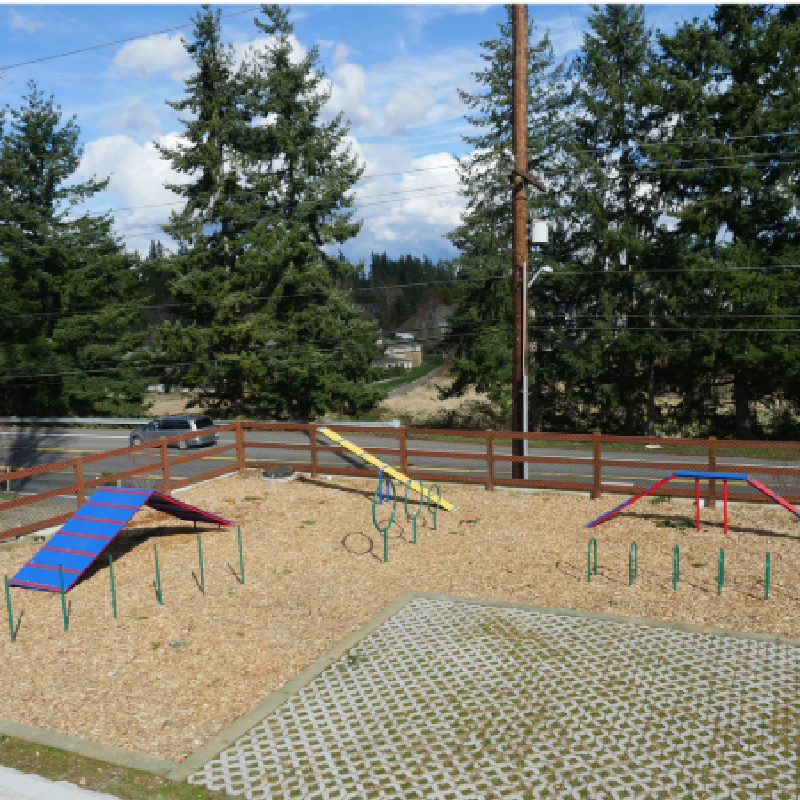 Doggie Playsystems Large A-Frame Climbers DE-3053